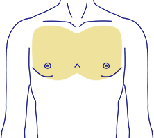 施術箇所イメージ　胸元